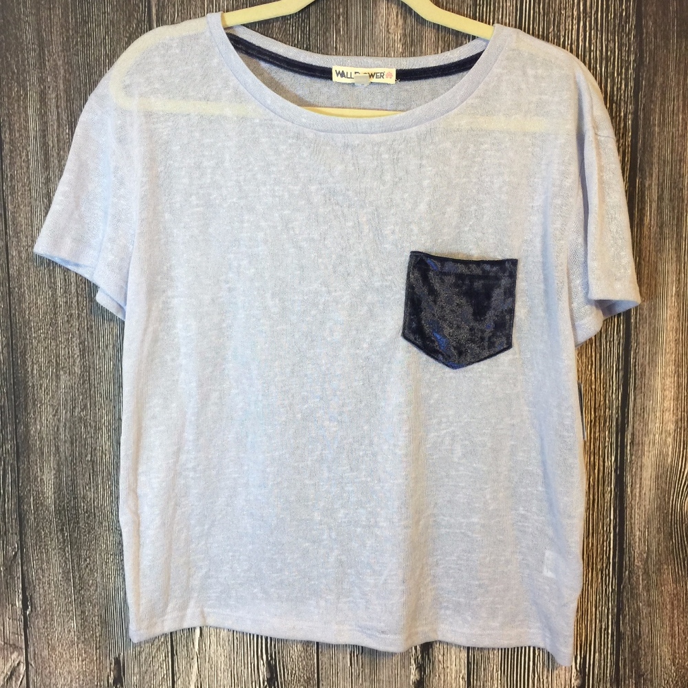 🌸 Wallflower Blue Crop Top Shimmer NEW LG Z15